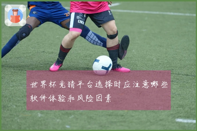 世界杯竞猜平台选择时应注意哪些软件体验和风险因素