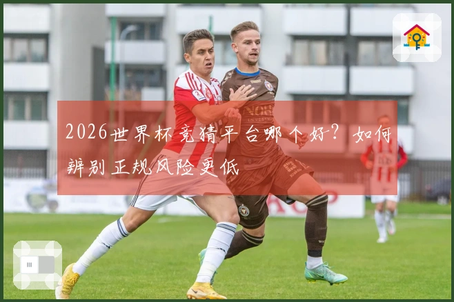 2026世界杯竞猜平台哪个好？如何辨别正规风险更低
