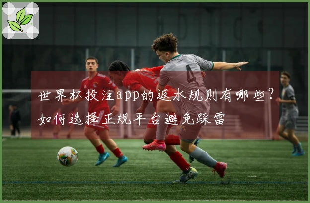 世界杯投注app的返水规则有哪些?如何选择正规平台避免踩雷